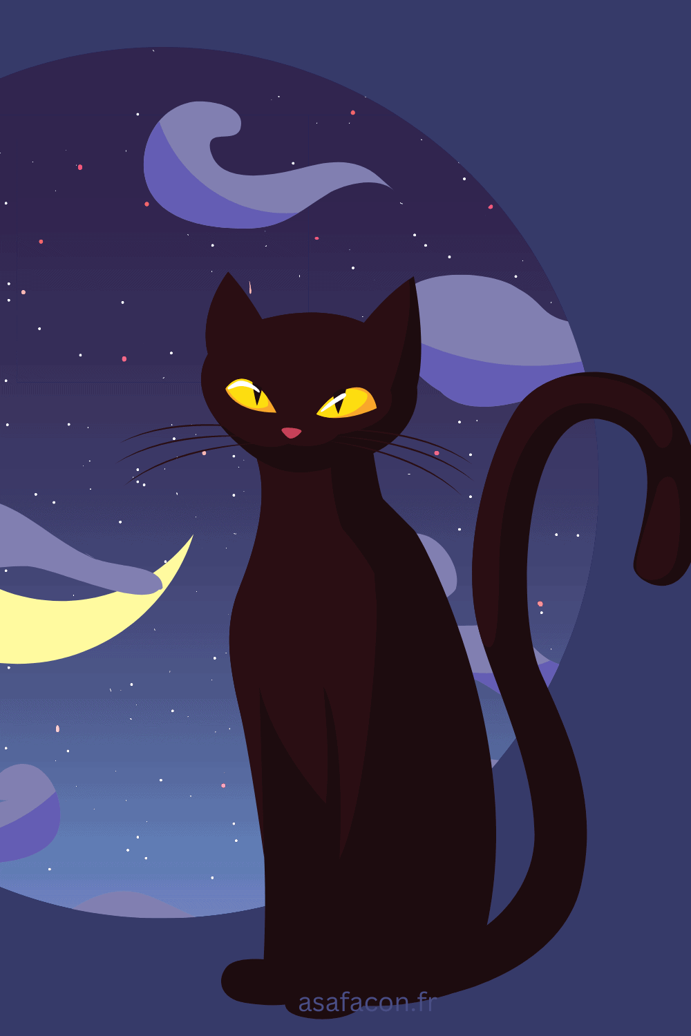 signification spirituelle du chat noir