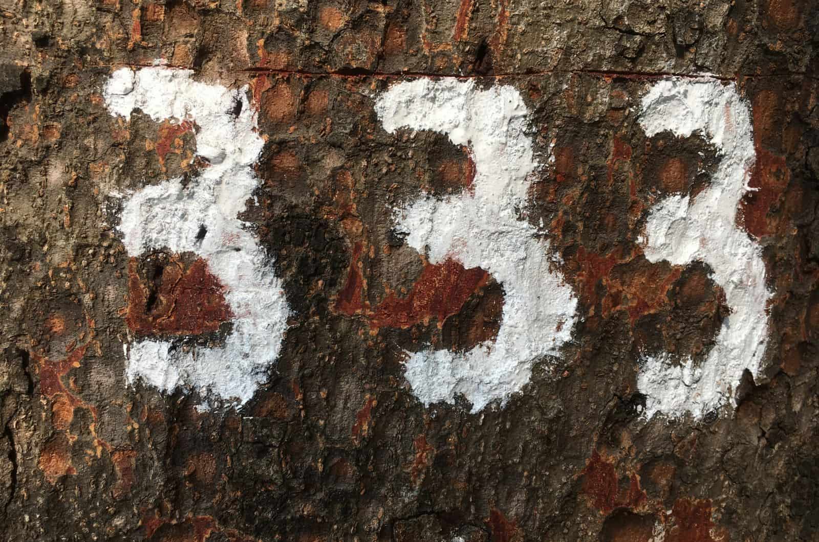 333 numéro blanc sur le mur