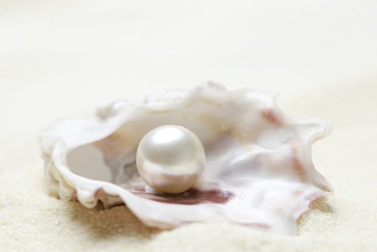 une belle perle dans un coquillage sur la plage