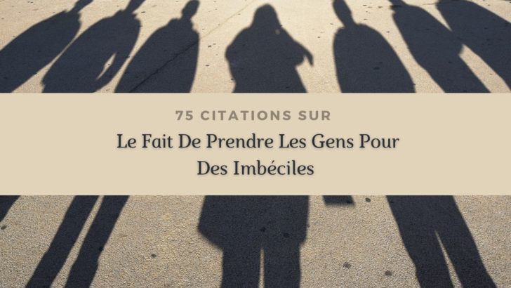 75 Citations Sur Le Fait De Prendre Les Gens Pour Des Imbéciles