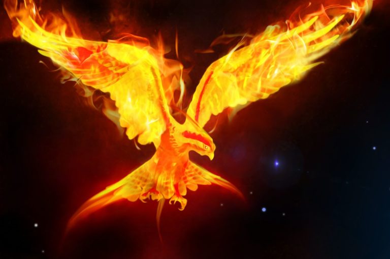 oiseau flamboyant phénix symbole spirituel