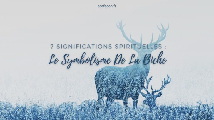 Le Symbolisme De La Biche : 7 Significations Spirituelles