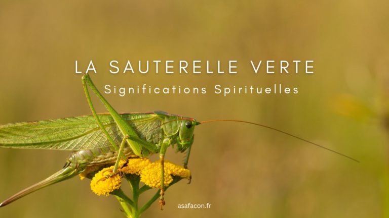 La Sauterelle Verte