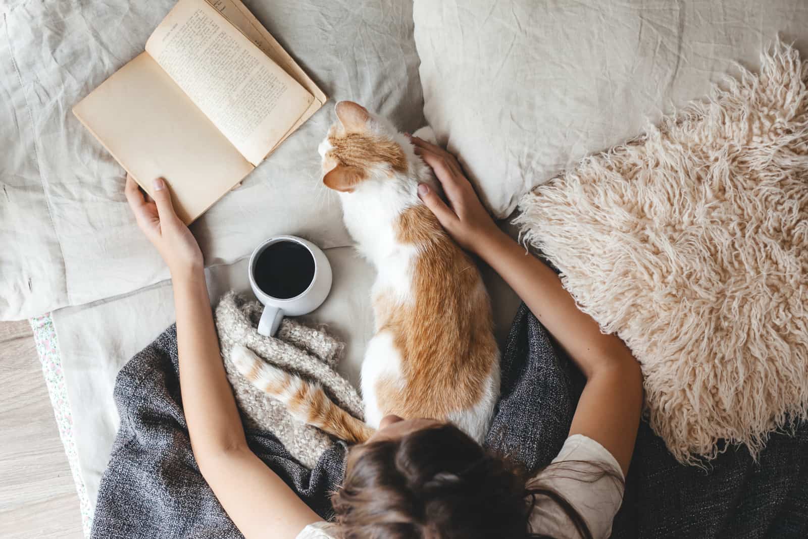 woman reading a book while petting a cat