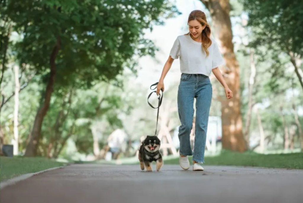 fille souriante marchant avec un chien